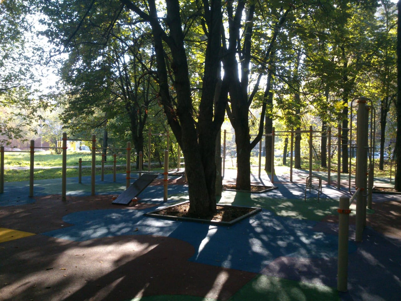 Abs Bench at Calisthenics Park at Большая Филёвская улица, Москва – photo 5 of 6