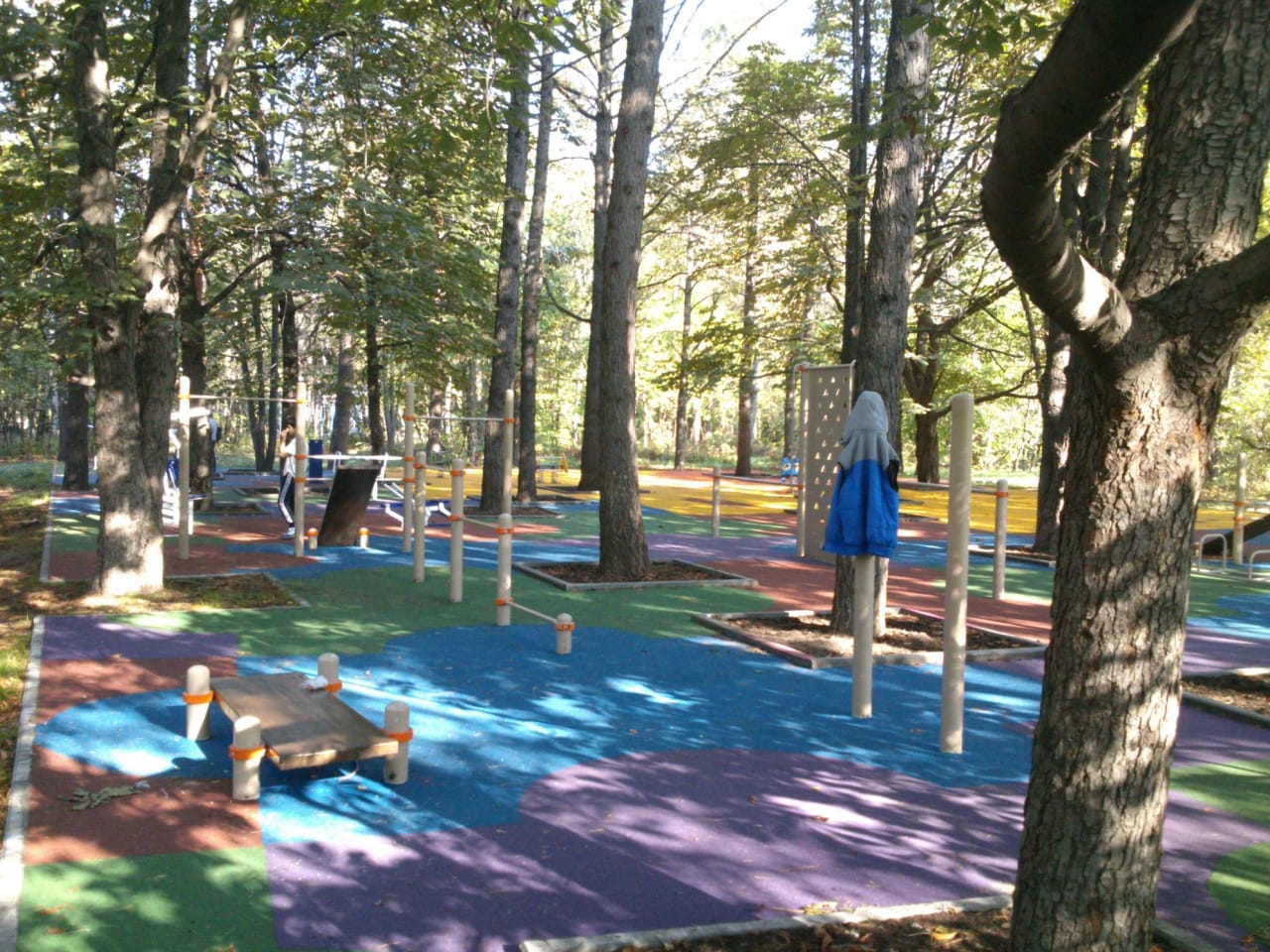 Monkey Bars at Calisthenics Park at Большая Филёвская улица, Москва – photo 3 of 6