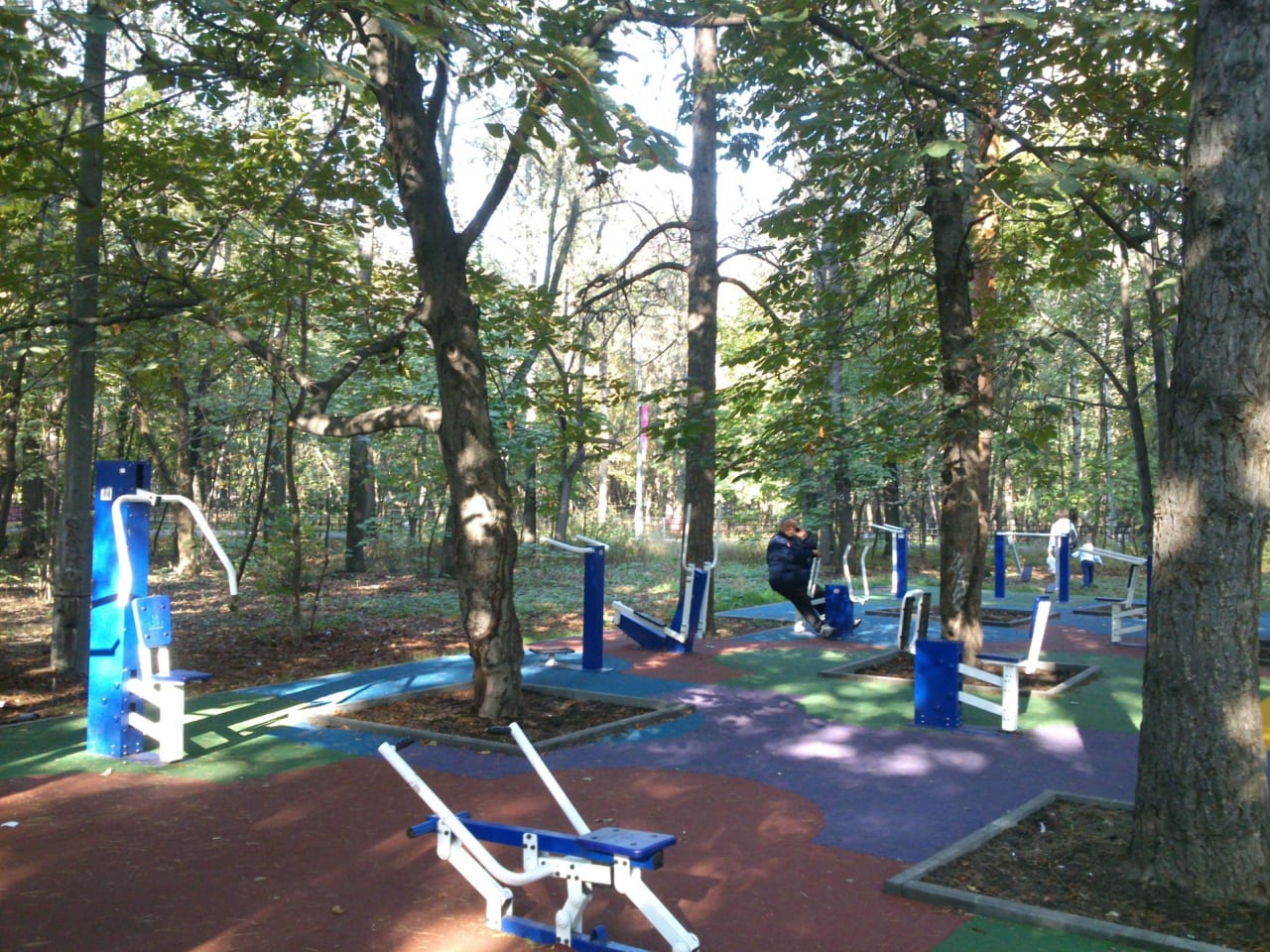 Wall Bars at Calisthenics Park at Большая Филёвская улица, Москва – photo 4 of 6