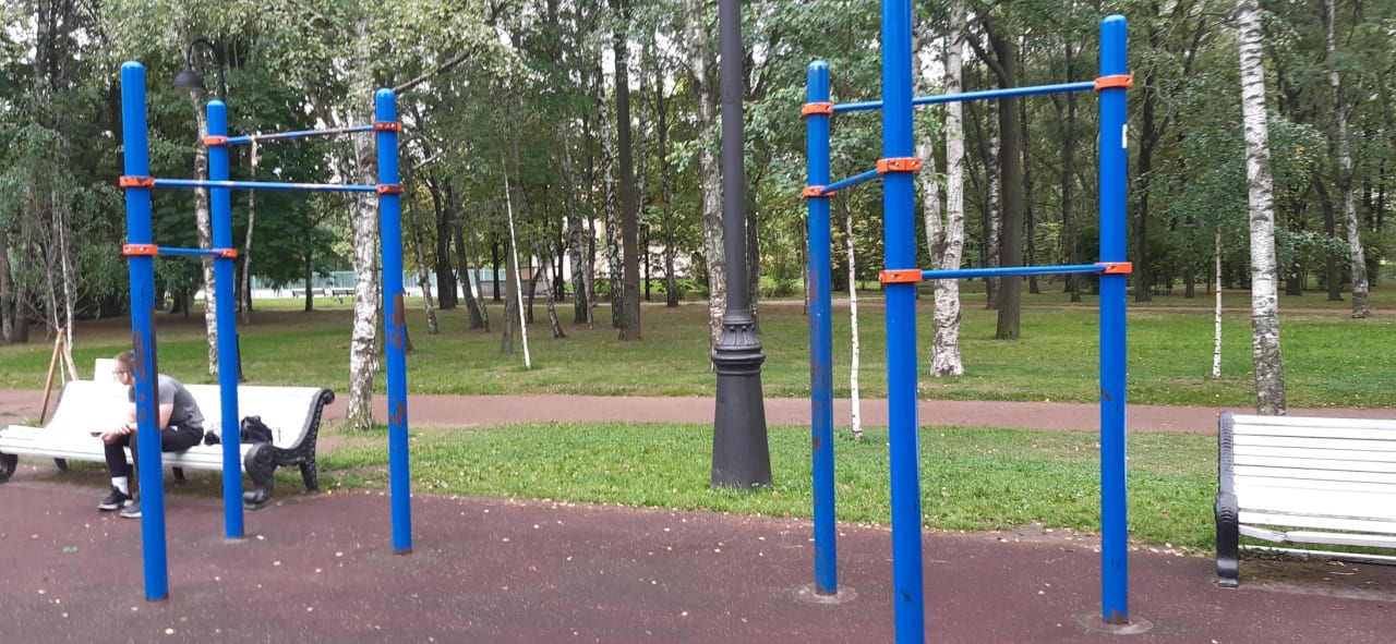 Monkey Bars at Calisthenics Park at Кузнецовская улица, Санкт-Петербург – photo 10 of 10