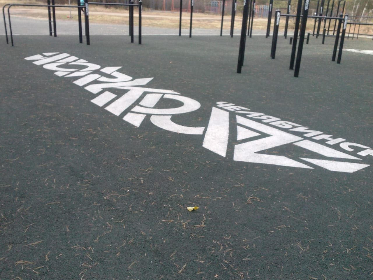 Barre de pompes à Calisthenics Park at Лесопарковая улица, Челябинск – photo 2 sur 4