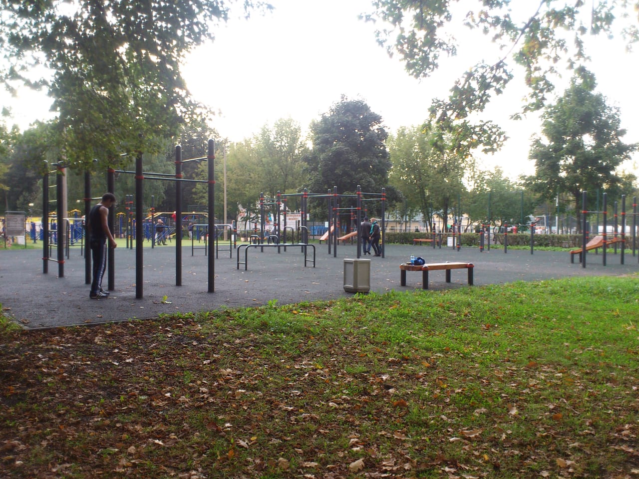 Monkey Bars at Calisthenics Park at Народный проспект, Москва – photo 4 of 6