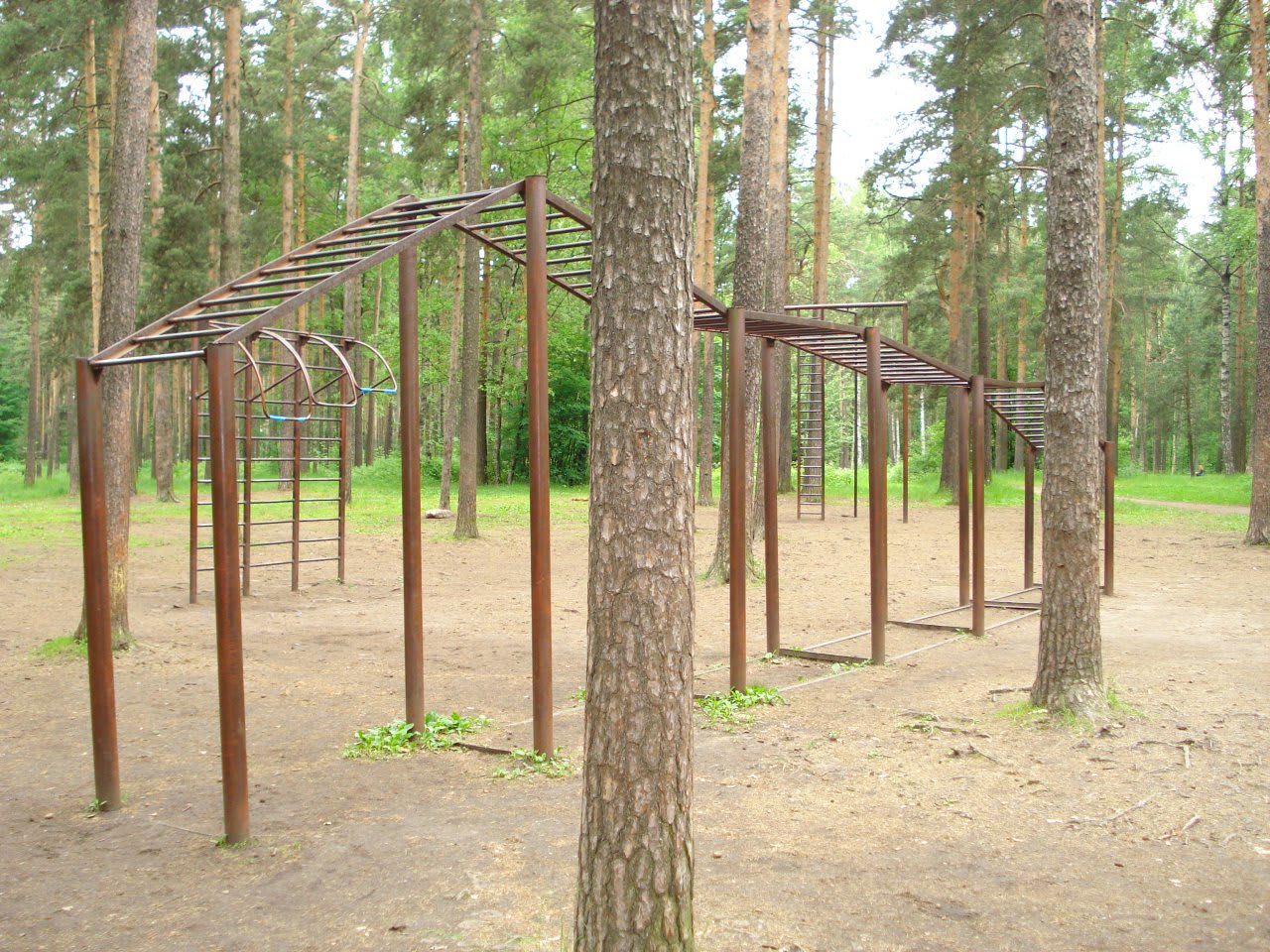 Бруси на майданчику Calisthenics Park at проспект Тореза, Санкт-Петербург – фото 2 з 4