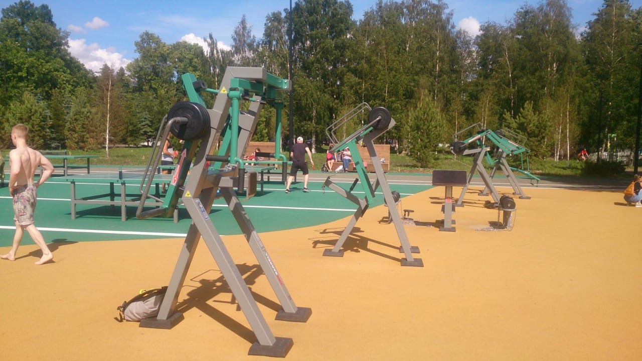 Monkey Bars at Calisthenics Park at Южная дорога, Санкт-Петербург – photo 3 of 6