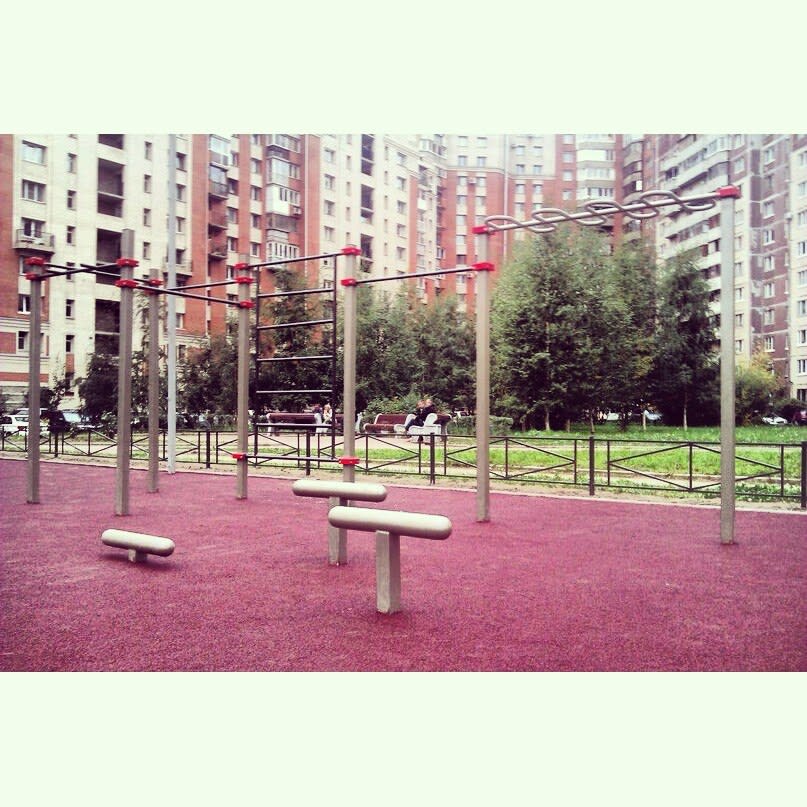 Monkey Bars at Calisthenics Park at Яхтенная улица, Санкт-Петербург – photo 3 of 8