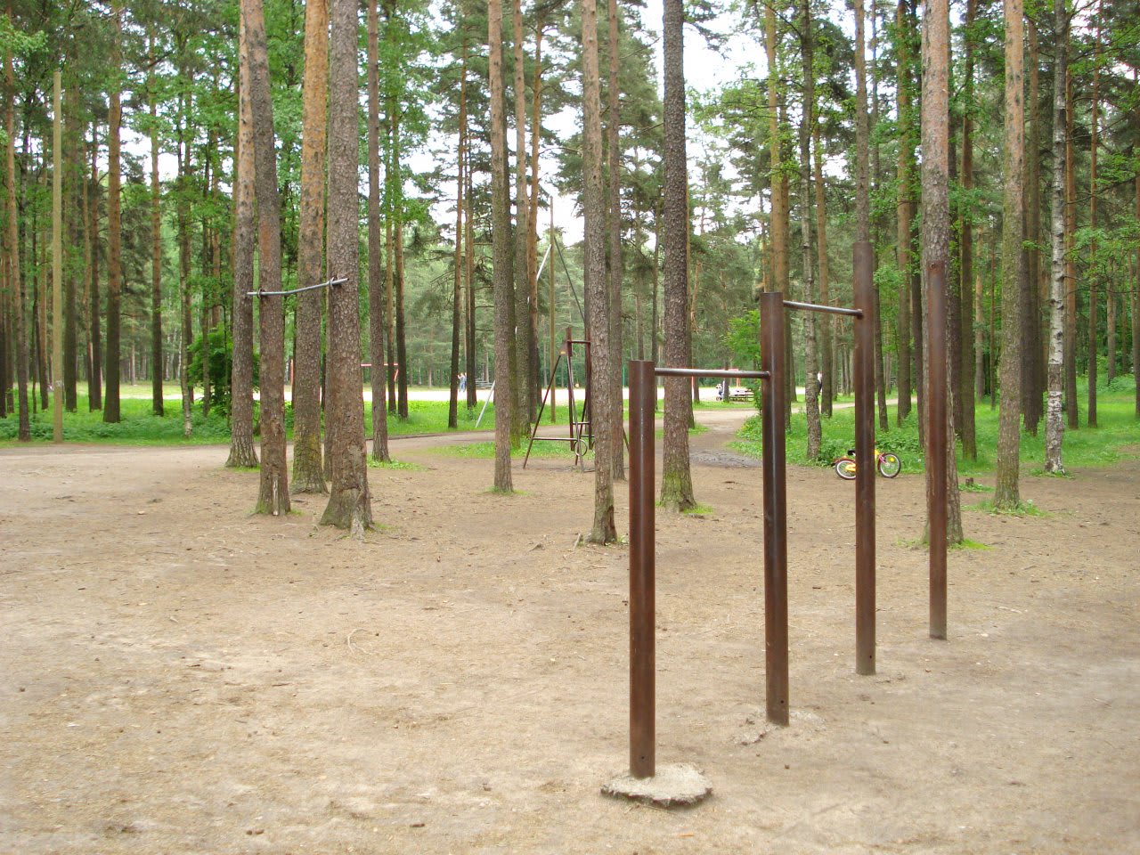 Шведська стінка на майданчику Calisthenics Park at проспект Тореза, Санкт-Петербург – фото 4 з 4