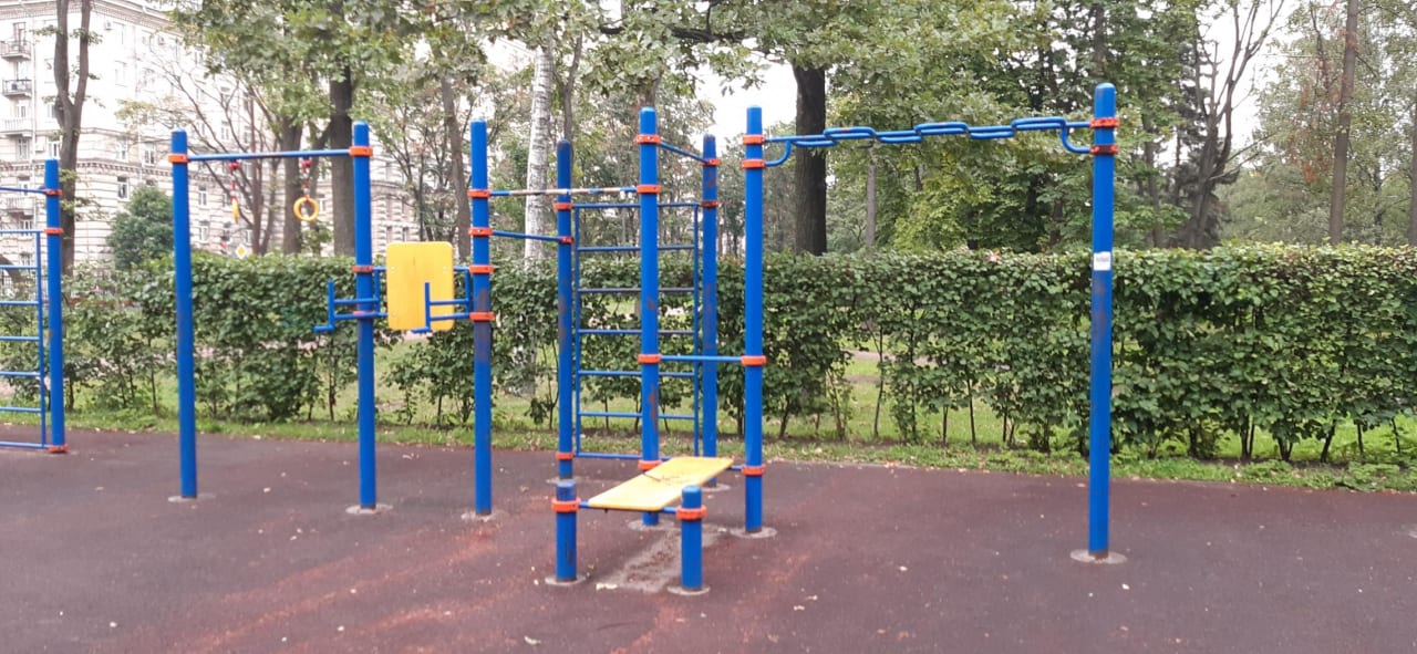 Monkey Bars at Calisthenics Park at Кузнецовская улица, Санкт-Петербург – photo 4 of 10
