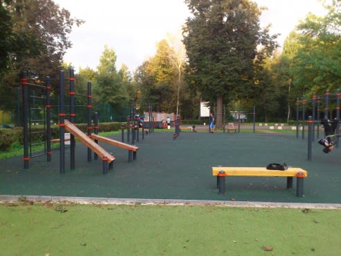 Pull Up Bar at Calisthenics Park at Народный проспект, Москва – photo 1 of 6