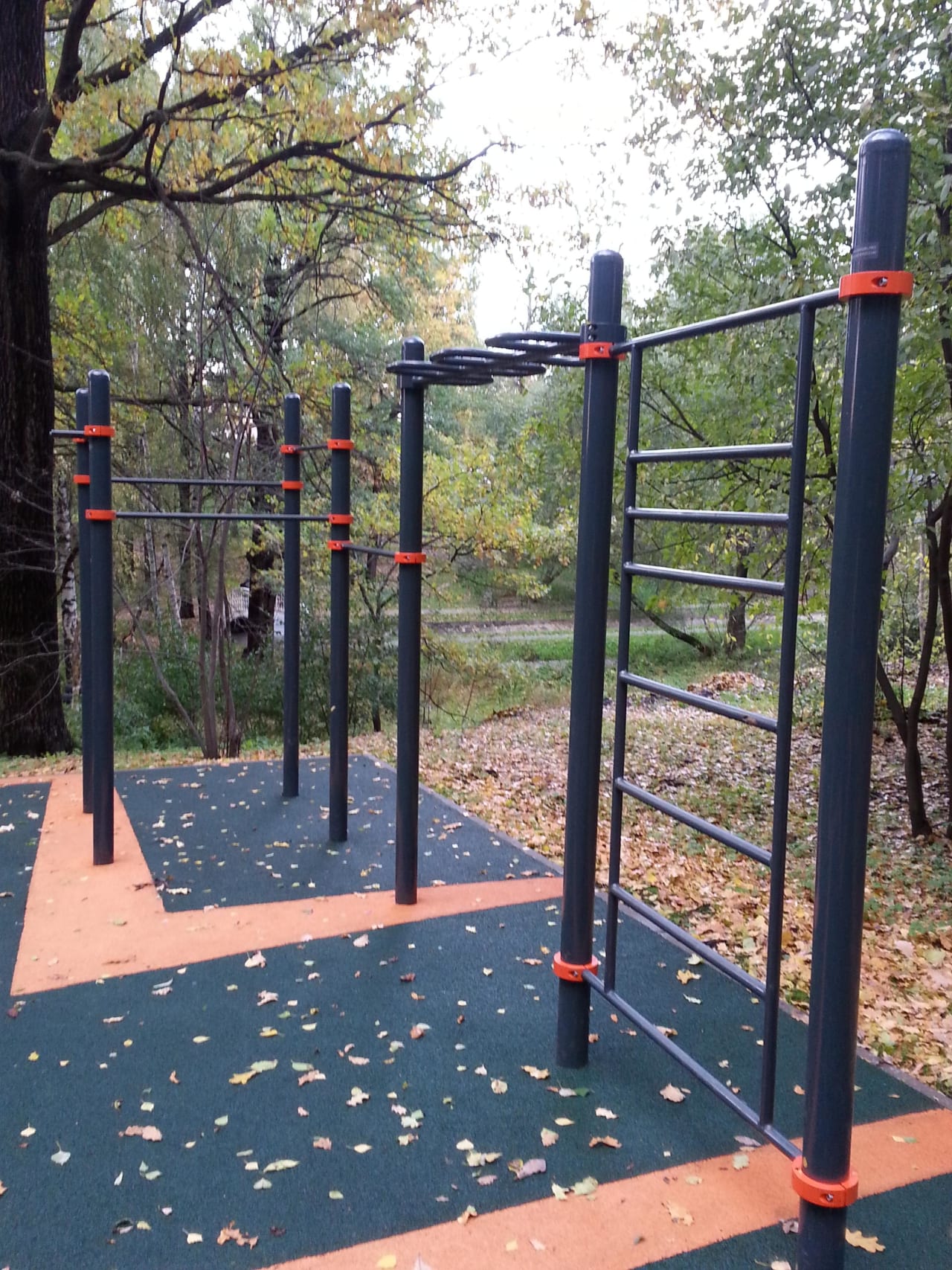 Parallel Gym Bars at Calisthenics Park at Череповецкая улица, Москва – photo 9 of 9