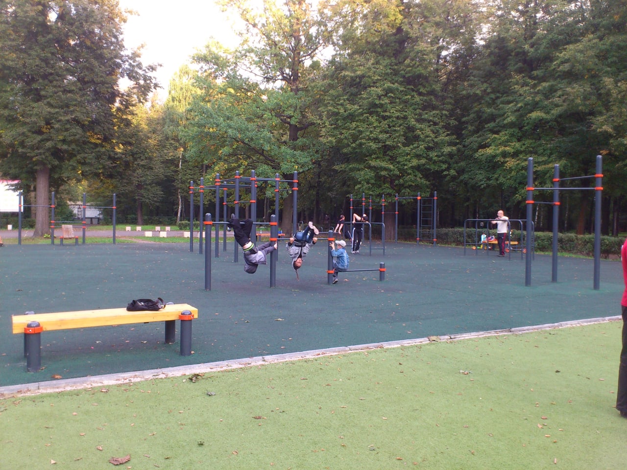 Wall Bars at Calisthenics Park at Народный проспект, Москва – photo 5 of 6