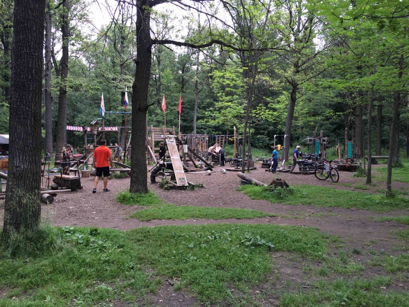 Monkey Bars at Calisthenics Park at Воркаут Тимирязевский, Москва – photo 3 of 10