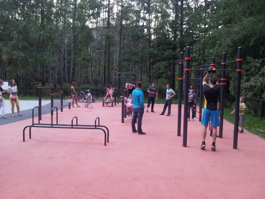Pull Up Bar at Calisthenics Park at Палисадная улица, Москва – photo 1 of 2