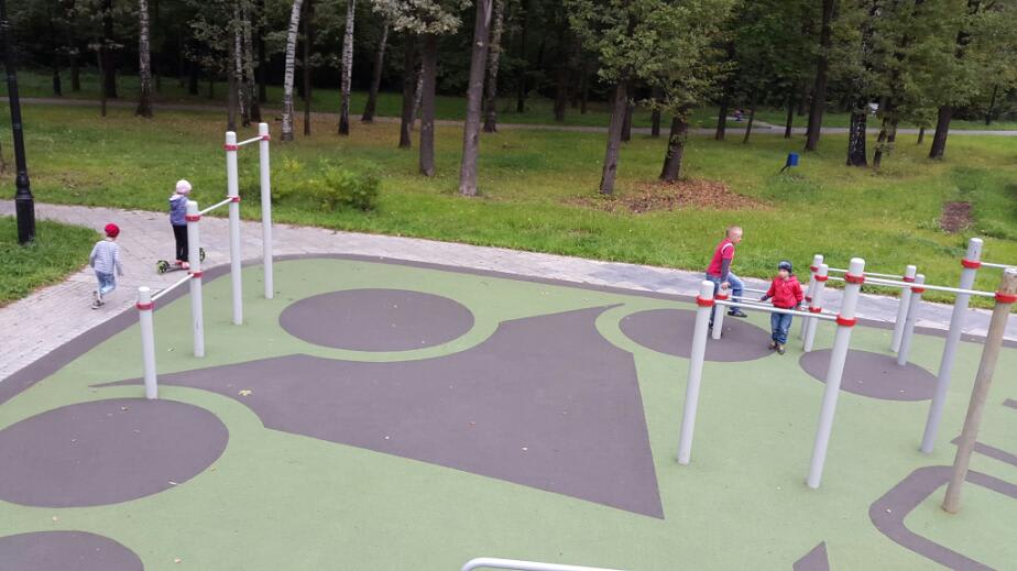 Wall Bars at Calisthenics Park at Ботаническая улица, Москва #wp1341 – photo 4 of 7