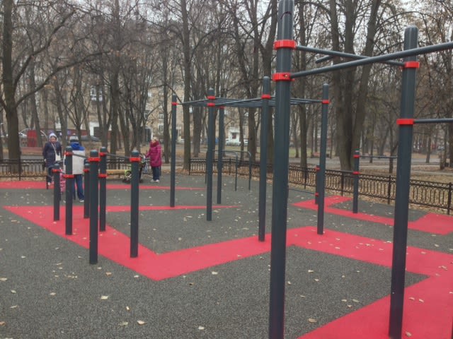 Parallel Gym Bars at Calisthenics Park at 2-я Песчаная улица, Москва – photo 2 of 4