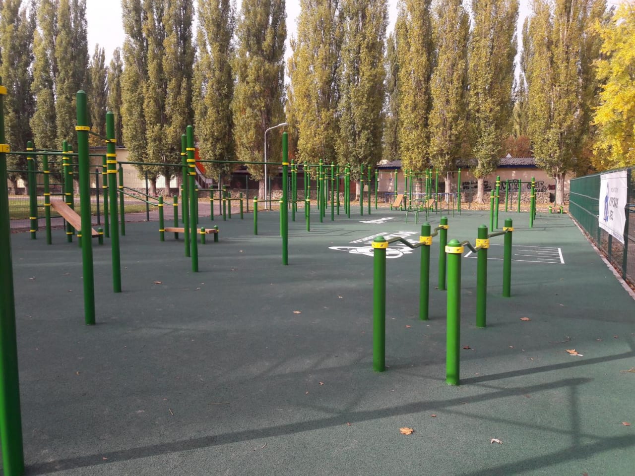 Liegestützgriffe bei Calisthenics Park at улица Строителей, городской округ Курчатов – Foto 2 von 4