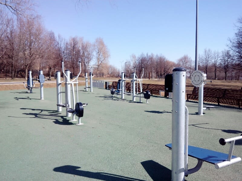 Monkey Bars at Calisthenics Park at Главная дорожка, Москва – photo 3 of 3