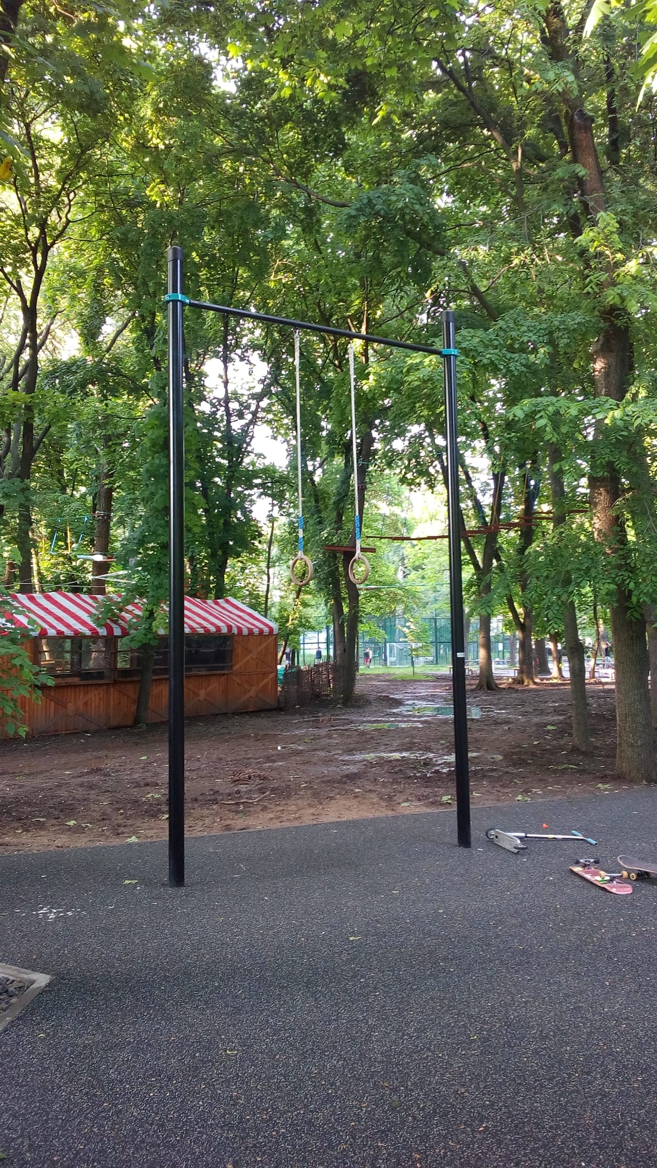 Wall Bars at Calisthenics Park at Театральная площадь, Ростов-на-Дону – photo 10 of 13