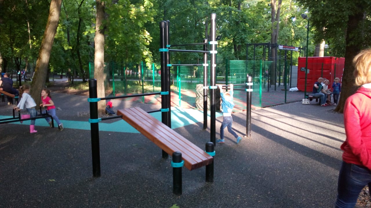 Monkey Bars at Calisthenics Park at Театральная площадь, Ростов-на-Дону – photo 9 of 13