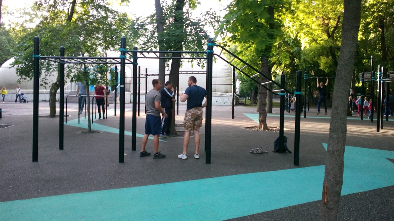 Monkey Bars at Calisthenics Park at Театральная площадь, Ростов-на-Дону – photo 3 of 13