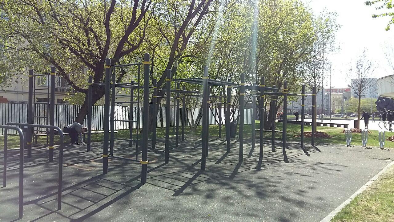 Pull Up Bar at Calisthenics Park at улица Пресненский Вал, Москва – photo 1 of 4
