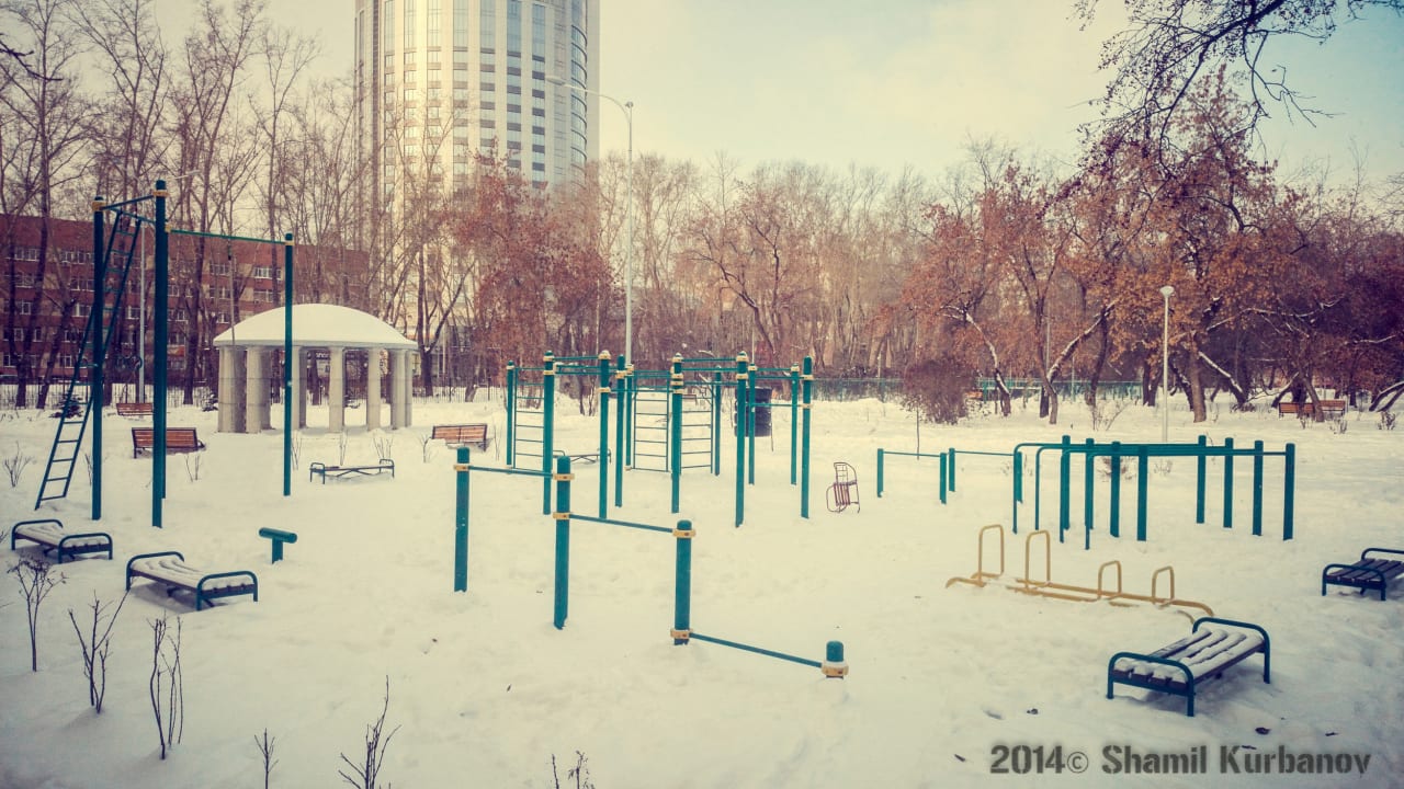 Wall Bars at Calisthenics Park at Сад им. Павлика Морозова, Екатеринбург – photo 11 of 11