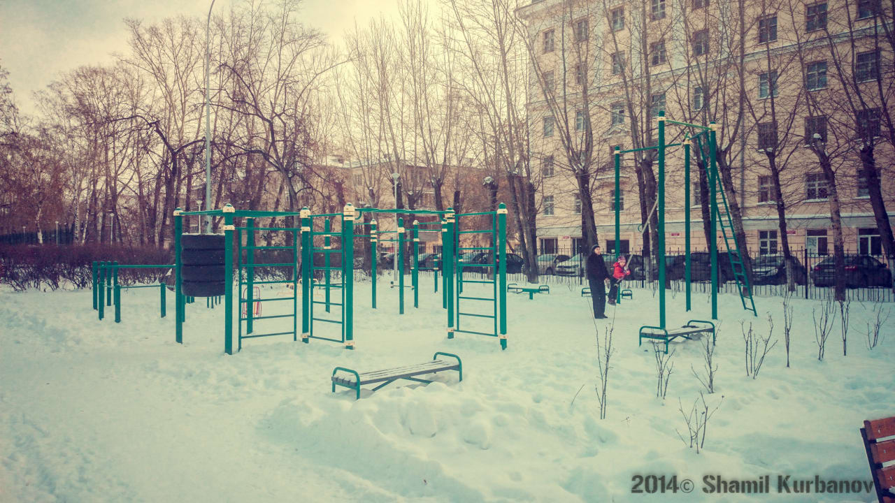 Parallel Gym Bars at Calisthenics Park at Сад им. Павлика Морозова, Екатеринбург – photo 2 of 11