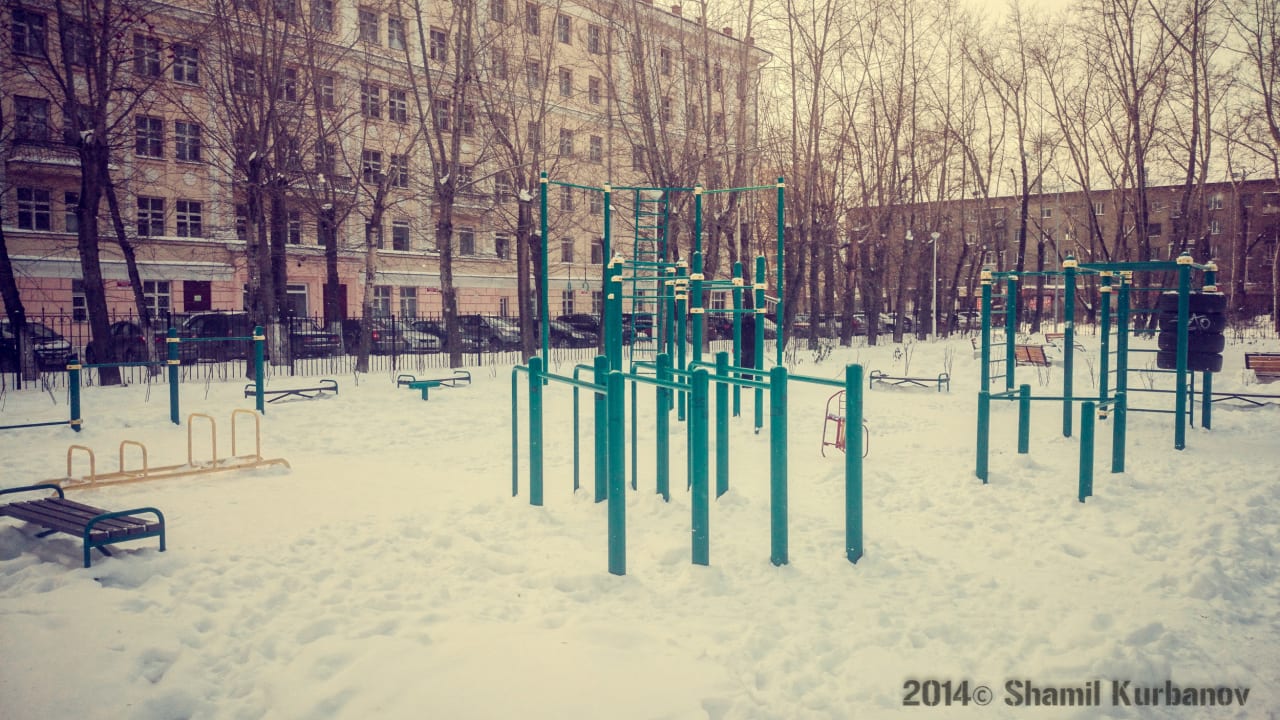 Parallel Gym Bars at Calisthenics Park at Сад им. Павлика Морозова, Екатеринбург – photo 9 of 11
