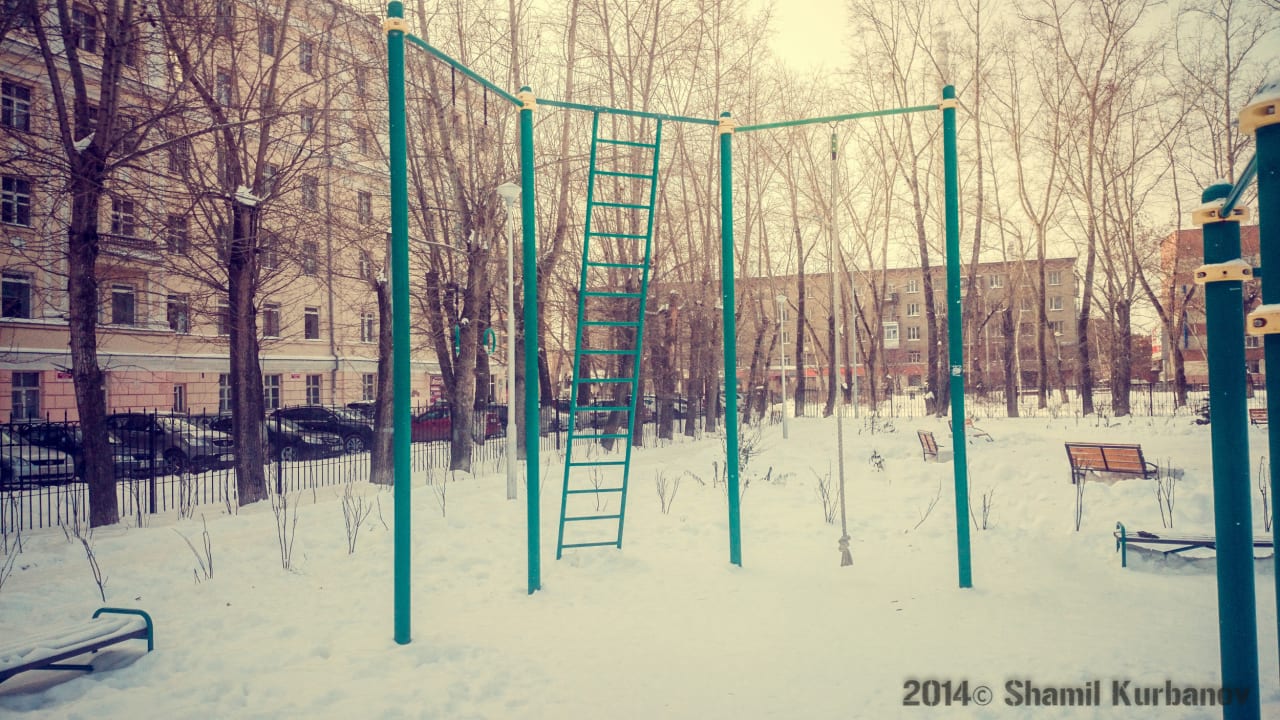Pull Up Bar at Calisthenics Park at Сад им. Павлика Морозова, Екатеринбург – photo 8 of 11