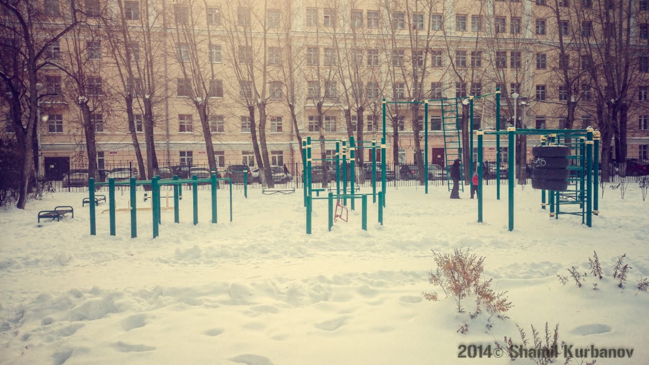 Monkey Bars at Calisthenics Park at Сад им. Павлика Морозова, Екатеринбург – photo 10 of 11