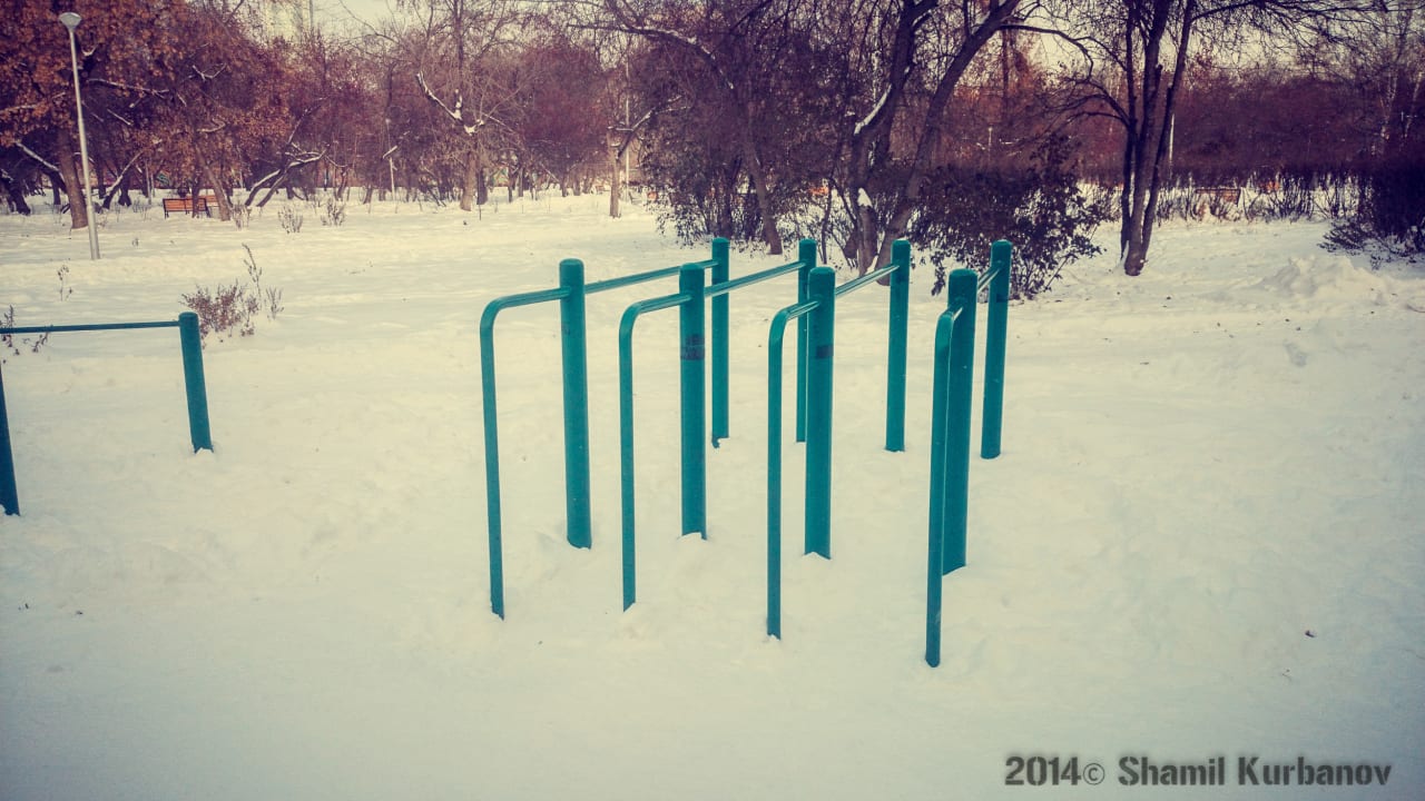 Monkey Bars at Calisthenics Park at Сад им. Павлика Морозова, Екатеринбург – photo 3 of 11