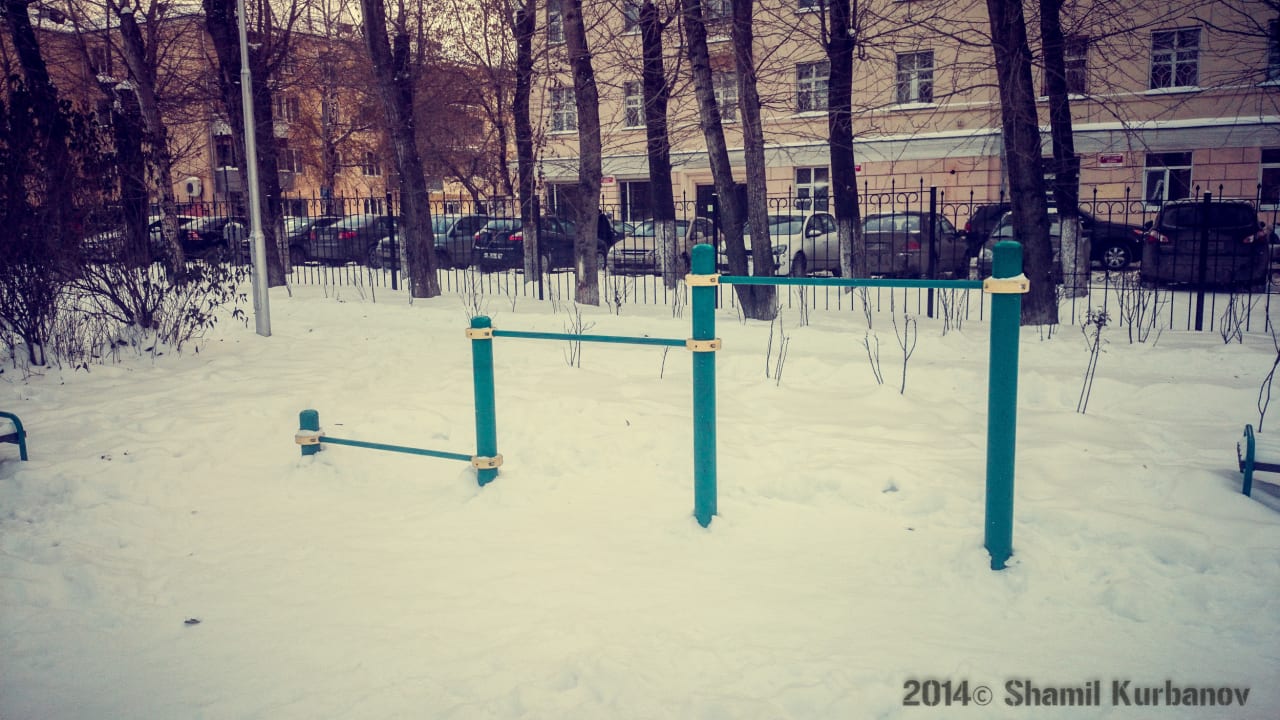 Wall Bars at Calisthenics Park at Сад им. Павлика Морозова, Екатеринбург – photo 4 of 11