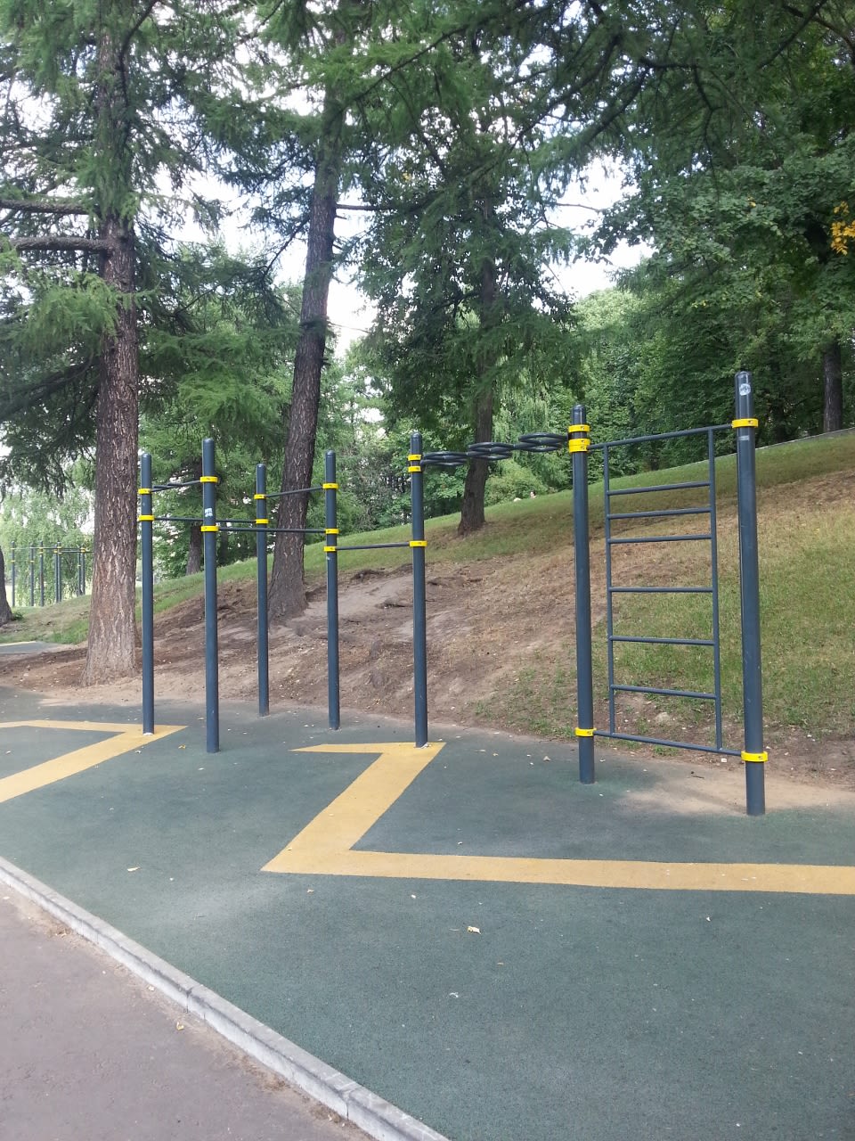 Pull Up Bar at Calisthenics Park at Летняя улица, Москва – photo 1 of 6