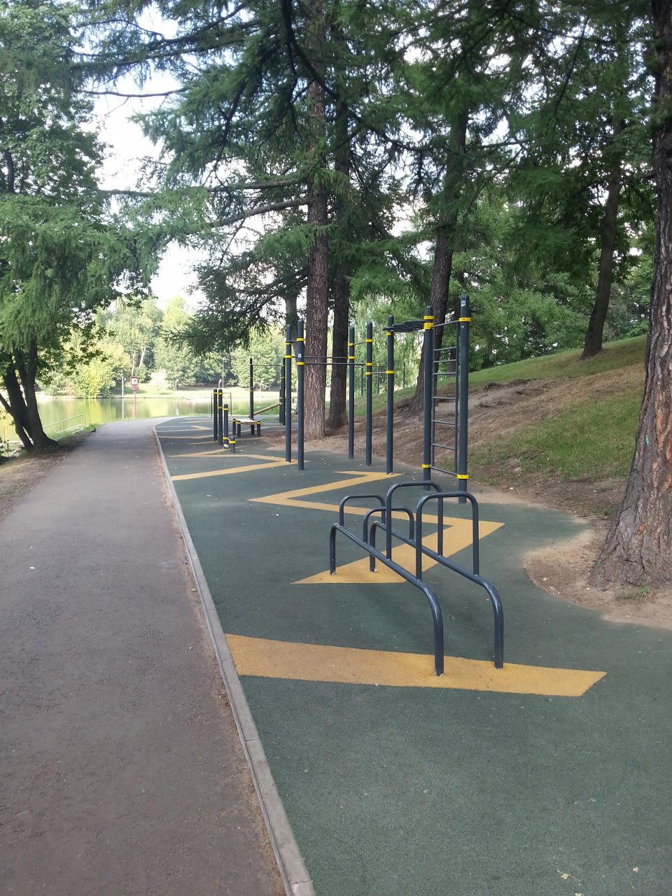 Wall Bars at Calisthenics Park at Летняя улица, Москва – photo 5 of 6