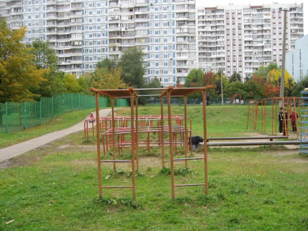 Monkey Bars at Calisthenics Park at улица Академика Капицы, Москва – photo 4 of 4