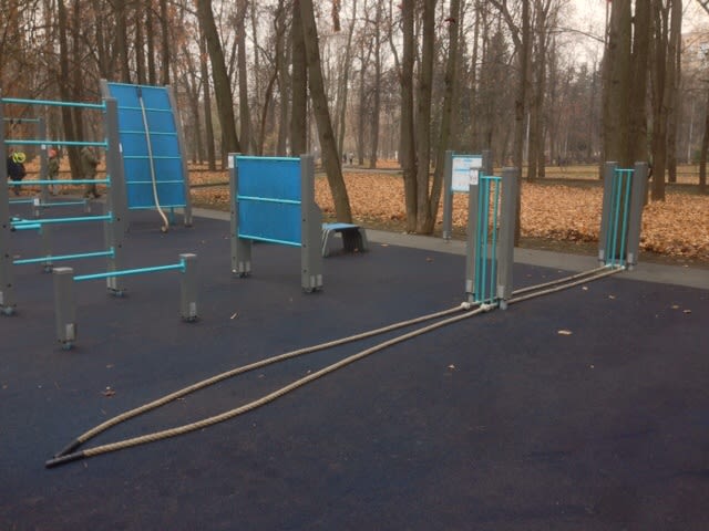 Elliptical Cross Trainer at Calisthenics Park at Песчаная улица, Москва – photo 5 of 6