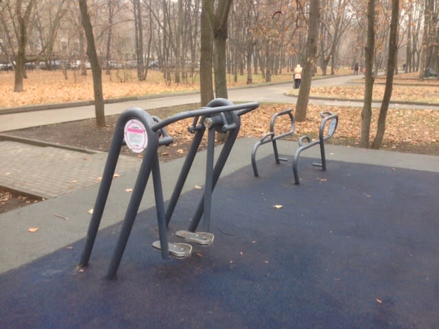 Parallel Gym Bars at Calisthenics Park at Песчаная улица, Москва – photo 2 of 6