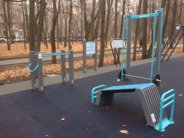 Wall Bars at Calisthenics Park at Песчаная улица, Москва – photo 4 of 6