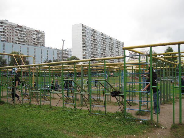 Push Up Bar at Calisthenics Park at улица Академика Капицы, Москва – photo 2 of 4