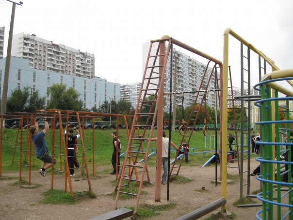 Parallel Gym Bars at Calisthenics Park at улица Академика Капицы, Москва – photo 3 of 4