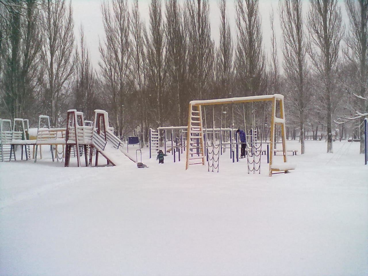 Monkey Bars at Calisthenics Park at Солнечная улица, Самара – photo 8 of 9