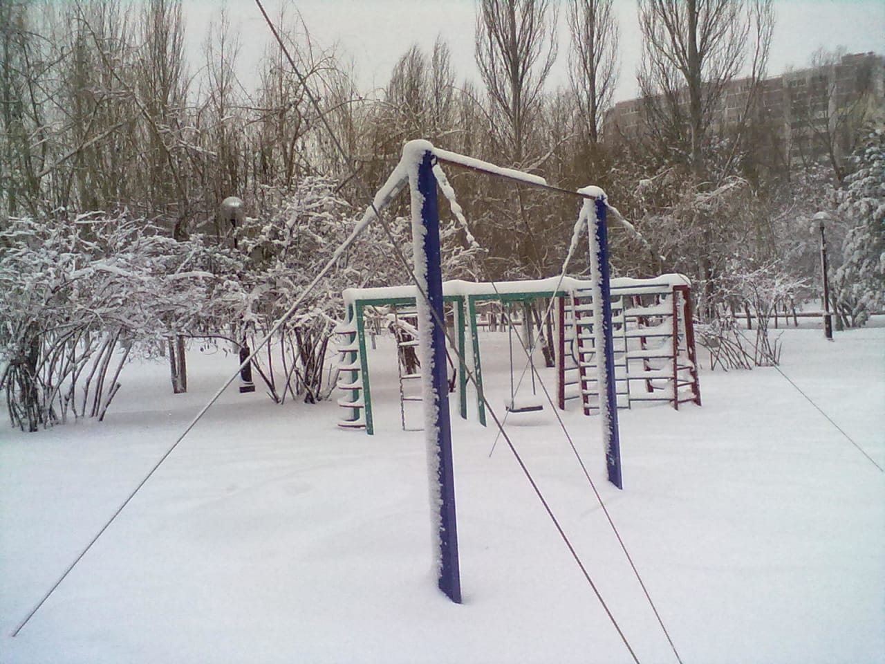 Monkey Bars at Calisthenics Park at Солнечная улица, Самара – photo 3 of 9