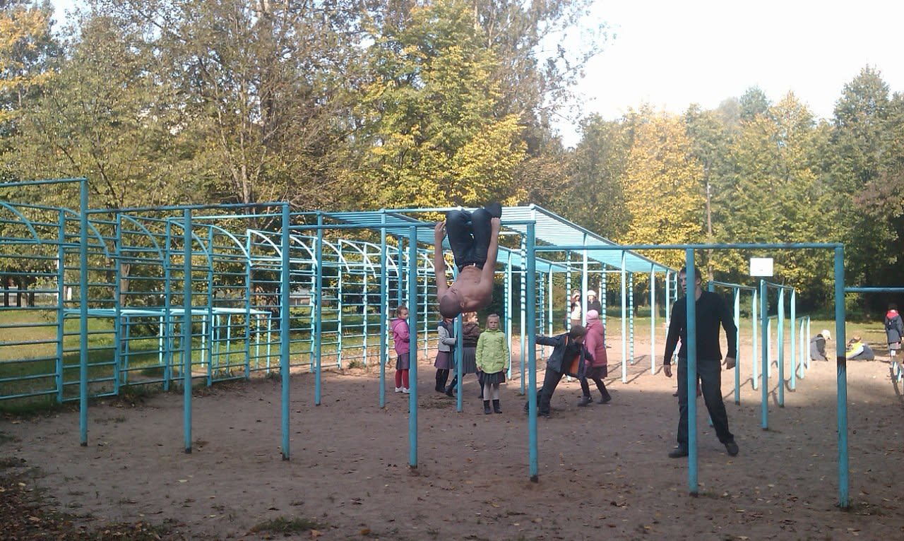 Шведская стенка на площадке Calisthenics Park at улица Ушинского, Санкт-Петербург – фото 4 из 5