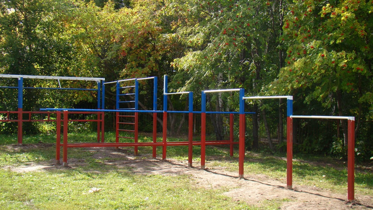 Sprossenwand bei Calisthenics Park at улица Советской Армии, Рязань – Foto 12 von 34