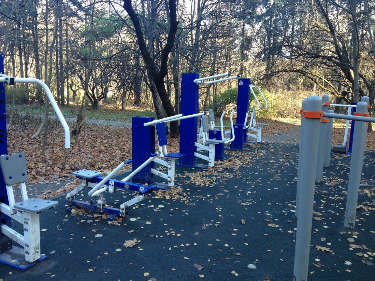 Monkey Bars at Calisthenics Park at Звенигородская улица, Москва – photo 4 of 5