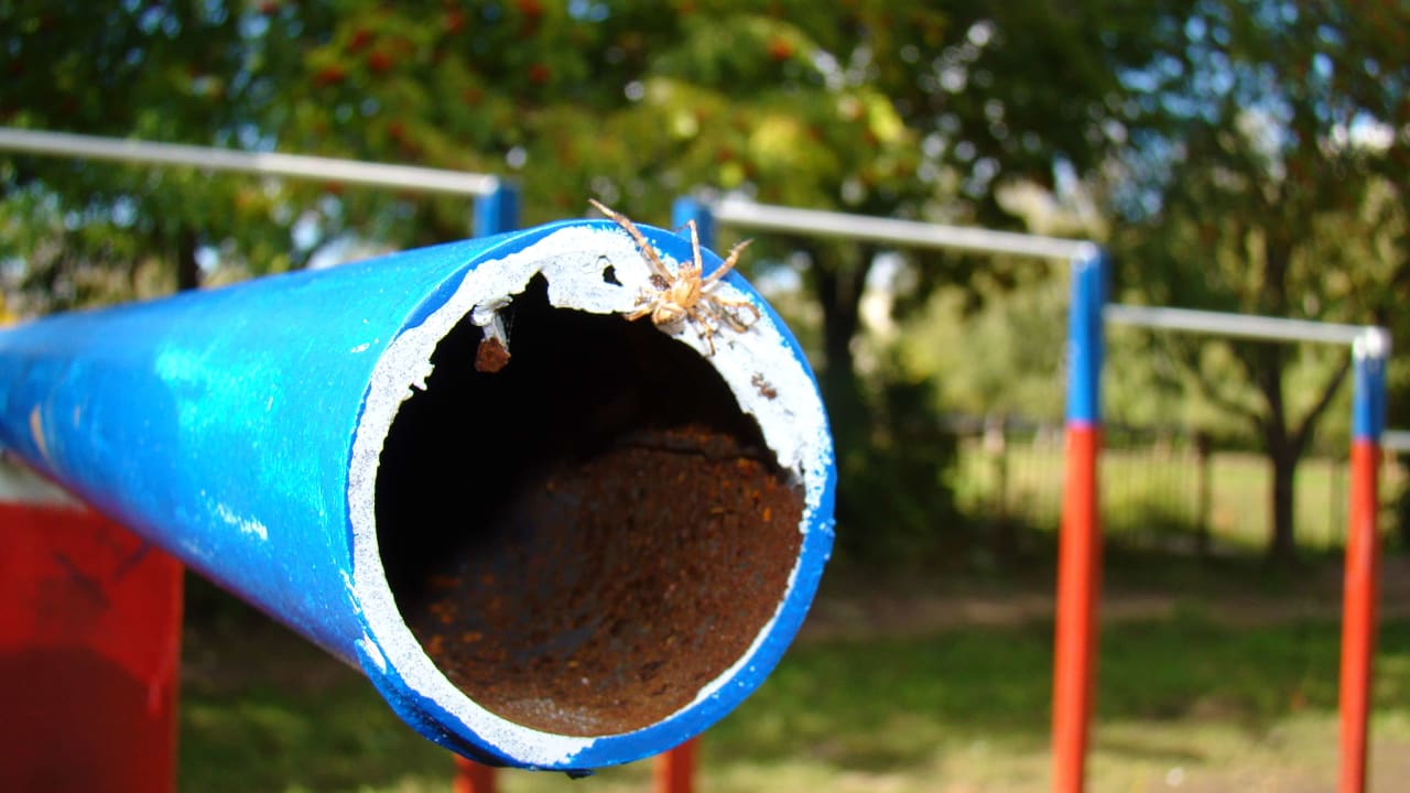 Barren bei Calisthenics Park at улица Советской Армии, Рязань – Foto 22 von 34