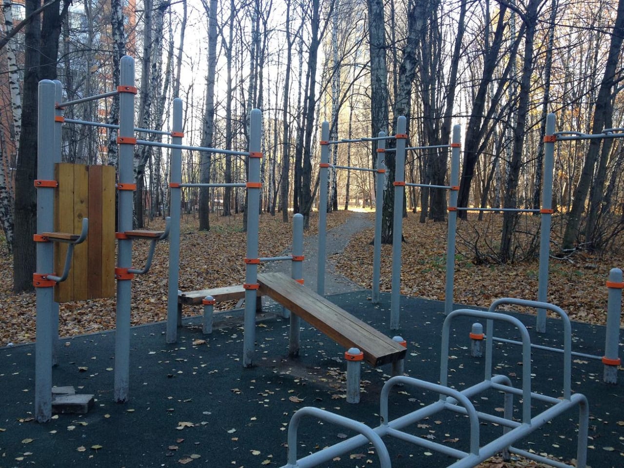 Pull Up Bar at Calisthenics Park at Звенигородская улица, Москва – photo 1 of 5
