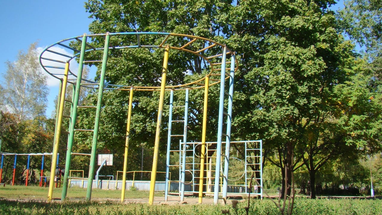 Hangelstange bei Calisthenics Park at улица Советской Армии, Рязань – Foto 31 von 34