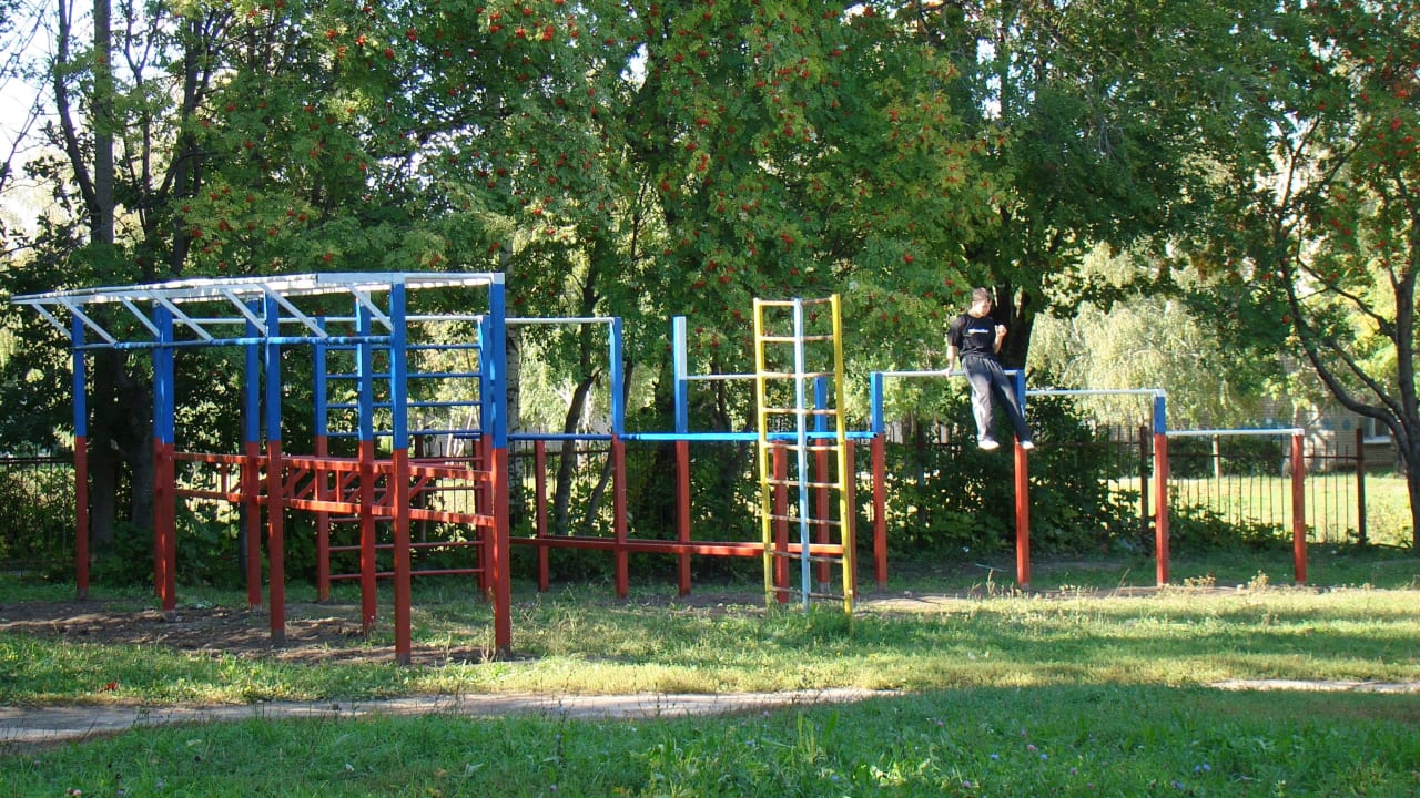 Sprossenwand bei Calisthenics Park at улица Советской Армии, Рязань – Foto 32 von 34