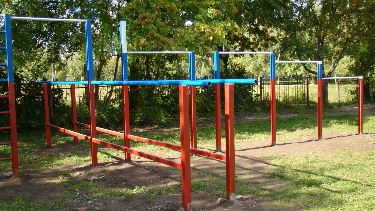 Sprossenwand bei Calisthenics Park at улица Советской Армии, Рязань – Foto 16 von 34