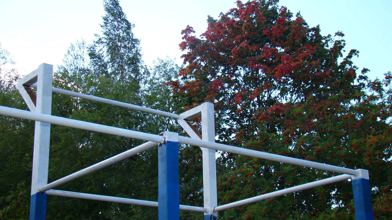 Hangelstange bei Calisthenics Park at улица Советской Армии, Рязань – Foto 23 von 34